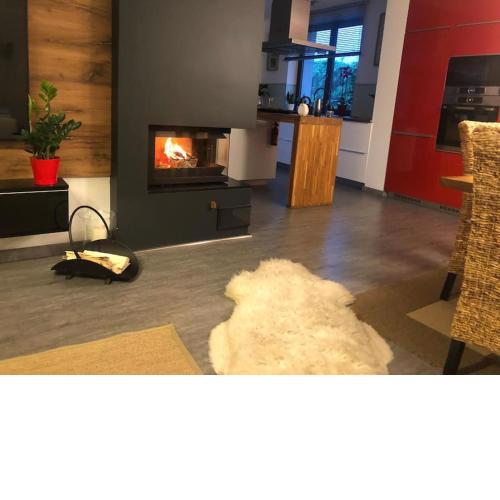 Luxury Private holiday in Prague - all house