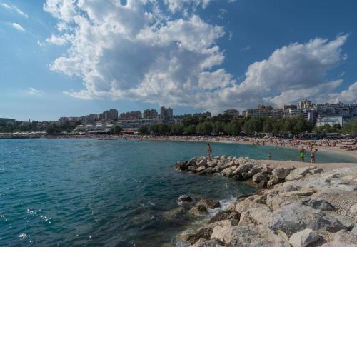 Luxury Rooms Near the Beach1