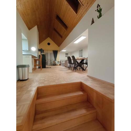 Luxus Apartment KFJ