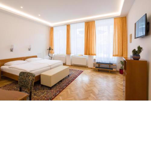 Luxusní velký apartmán s terasou v centru Litomyšle