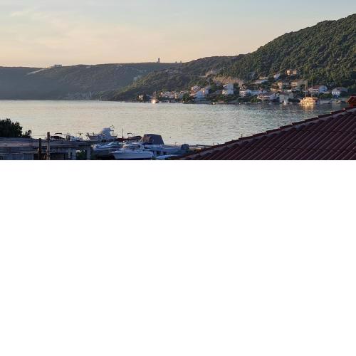MAESTRAL-NMF