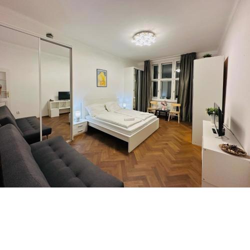 Maiselova Old Town Apartment