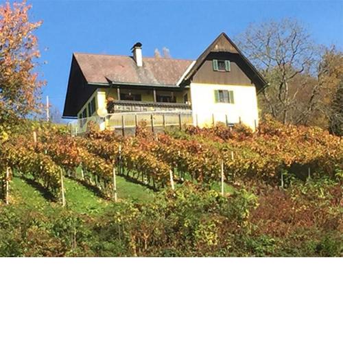Malerisches Weingartenhäuschen in Kitzeck