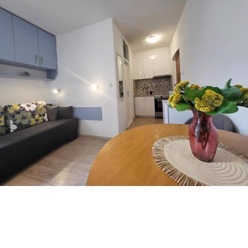 Mali apartman u centru