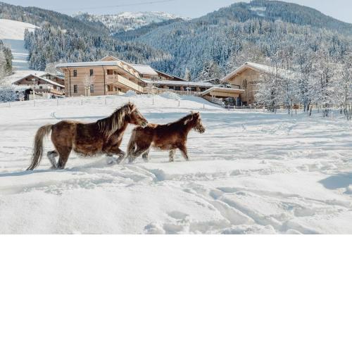 Mariengut - Natur Aparthotel Kramer
