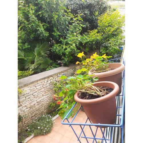 Mariza studio apartman