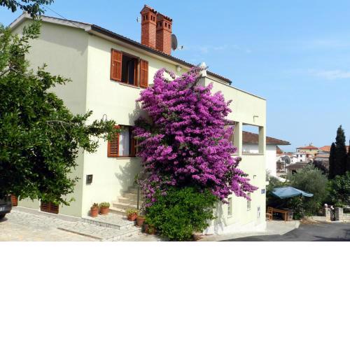 Mata Apartments