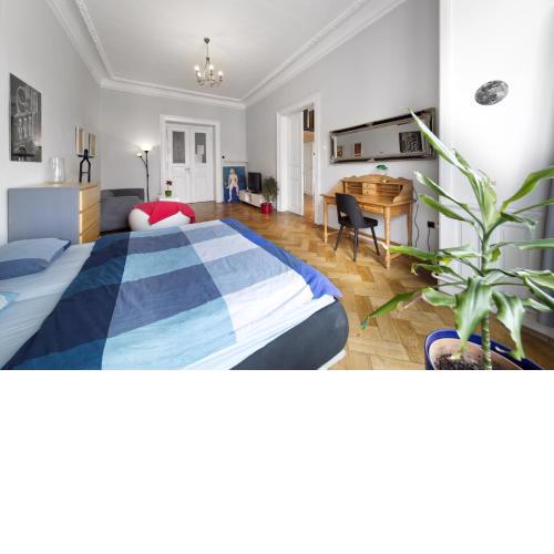 MIKE’S HUGE APARTMENT