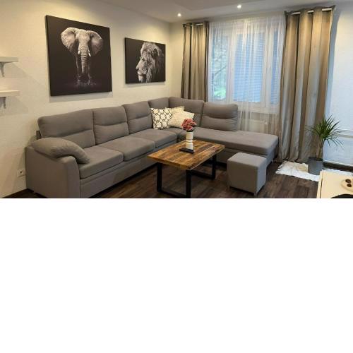 Milde's apartment near the city center - Hospodarska street