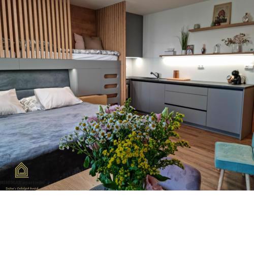 MINIMAX apartmán
