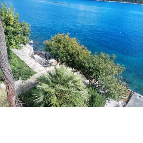 Mljet 4You - Beach House