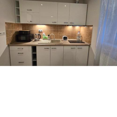 Mlýnský ostrov Apartment 1