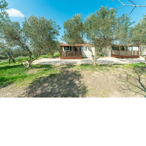 Mobile Homes Plava Laguna