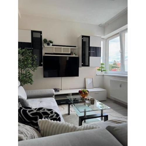 Modern APT City Hideaway
