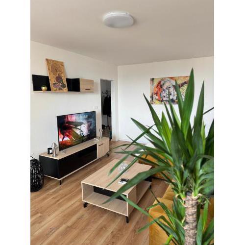 Modern Central Apartment