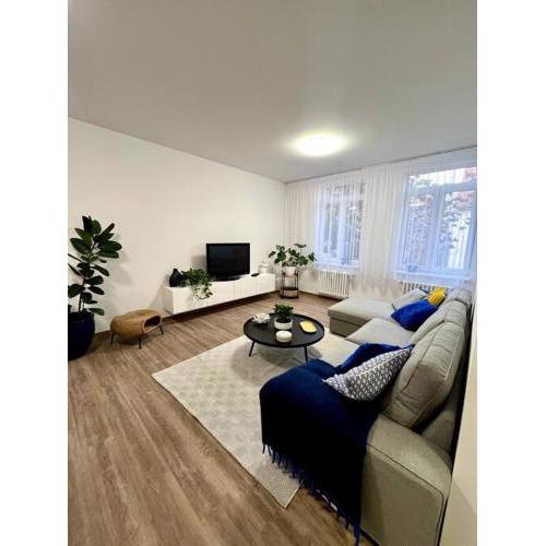 Modern Comfort Next to Historic Sights