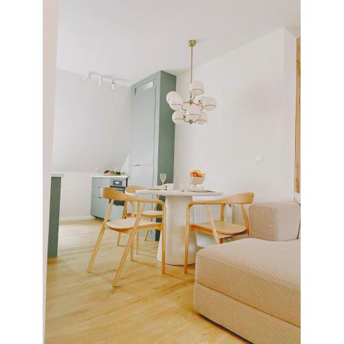 Modern Duplex, Home Cinema, center of Karlovy Vary
