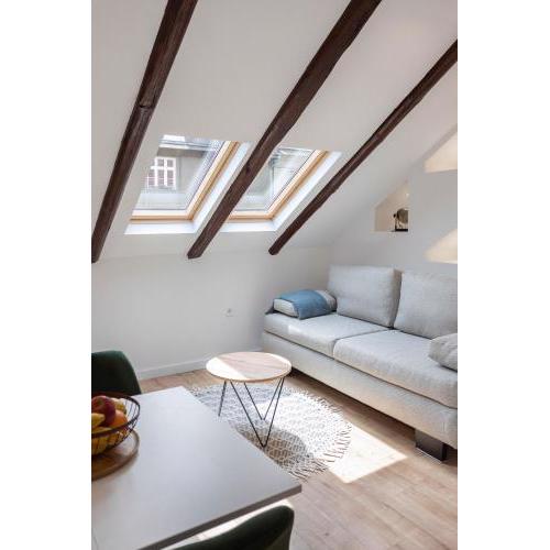 Modern Loft with Gallery in City Center