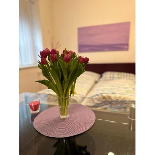 Modern Studio in the Heart of Vienna - Steps from the Opera