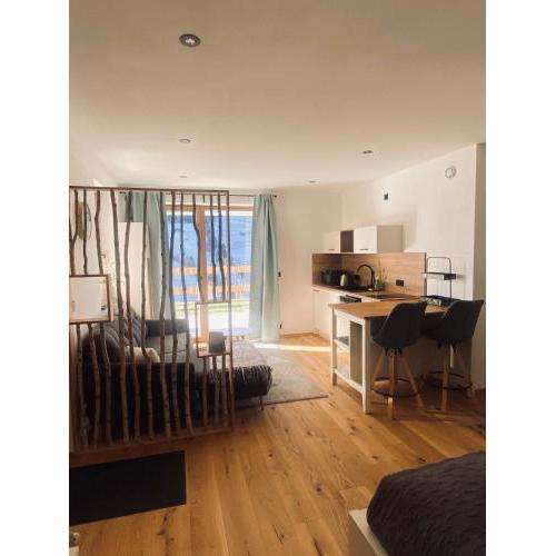 Modernes 1-Zimmer-Appartement