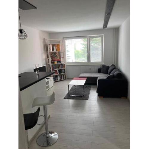 Moderný apartmán Podbreziny