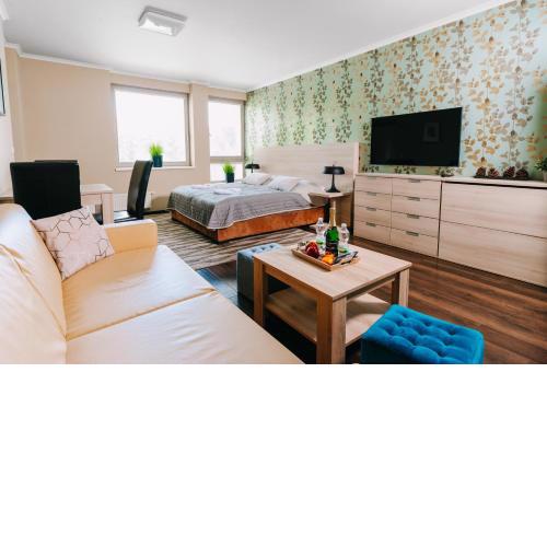 Mountain Apartment Spirit Harrachov