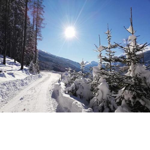 Much`s Bergstüberl