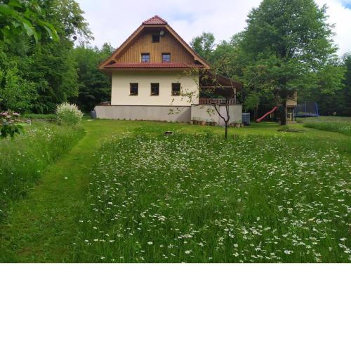 Na paloučku