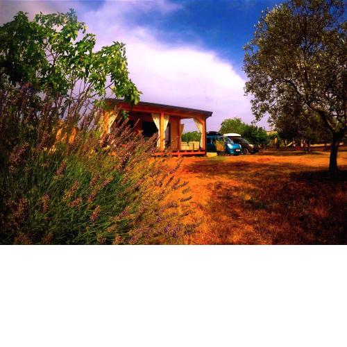 Nature Home Eco-friendly Pet-friendly