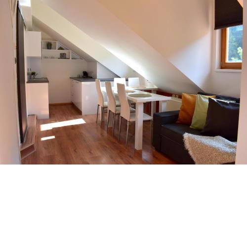 NEW CENTRAL ROOFTOP with private WELLNESS, Sauna & Whirlpool bath