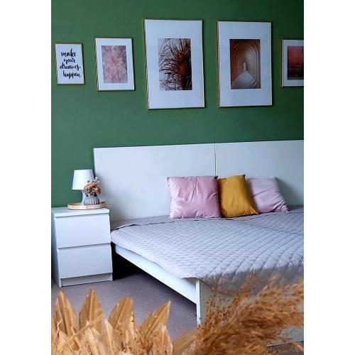 New Life Apartment