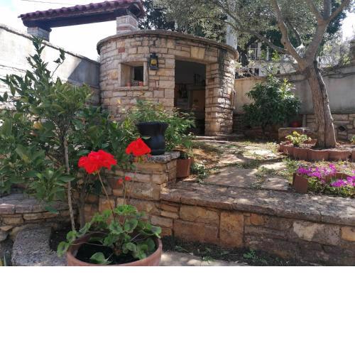 Nice Apartment Montepozzo with Private Garden
