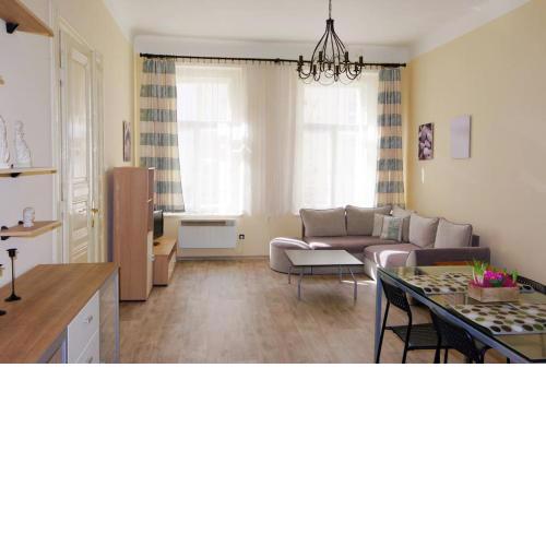 Nice big apartment in the city center