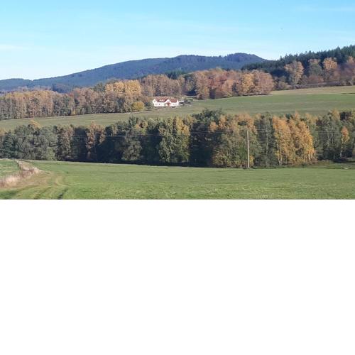 Novohradky - Oáza klidu na samotě u lesa