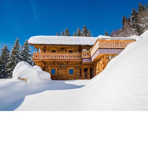 Oberholzlehen hut with a great view