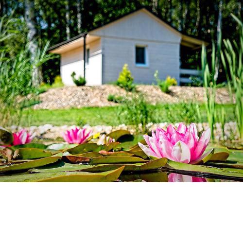 Obora resort