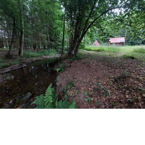 Off-Grid Cottage near river and forest!