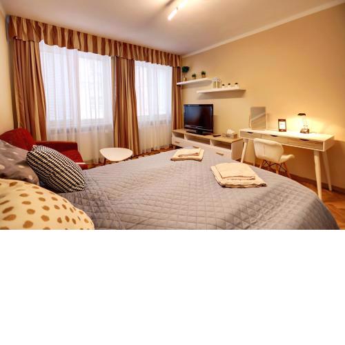 Old Town Apartment