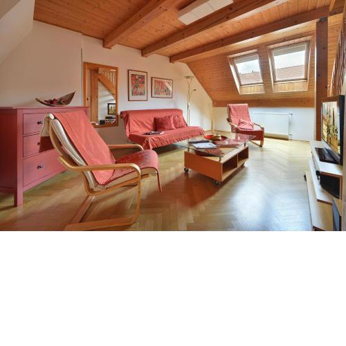 Old Town Apartments Tyn