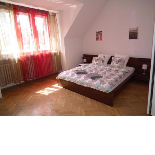 Old Town spacious apartment