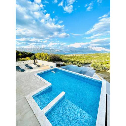Olive Paradise
