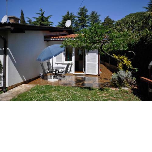 Palme Apartment