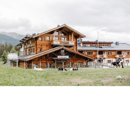 Panorama Chalet mit Sauna direkt an der Mittelstation Panoramabahn
