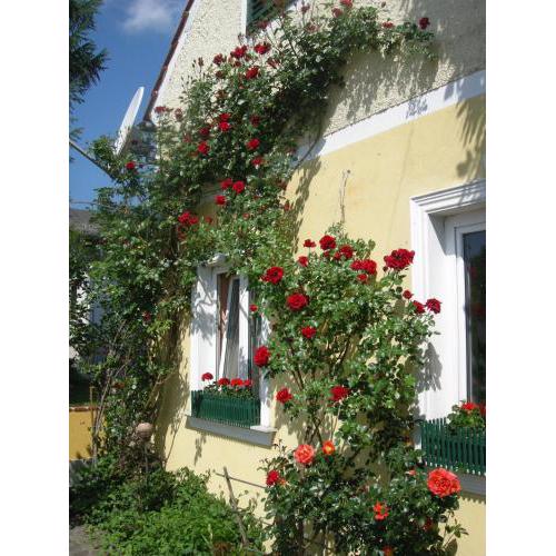 Pension Arkadenhof