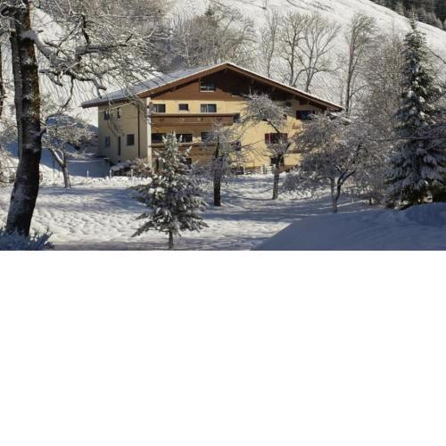 Pension & Ferienwohnungen Haus Edelweiß