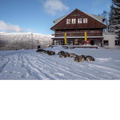 Pension Horalka