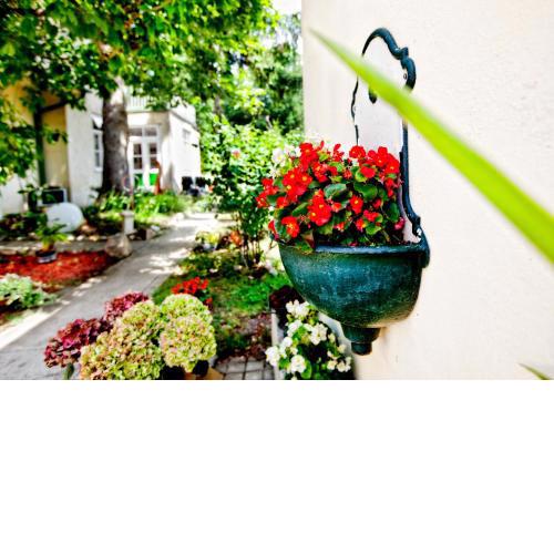 Pension Margit