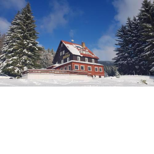 Pension Svoboda