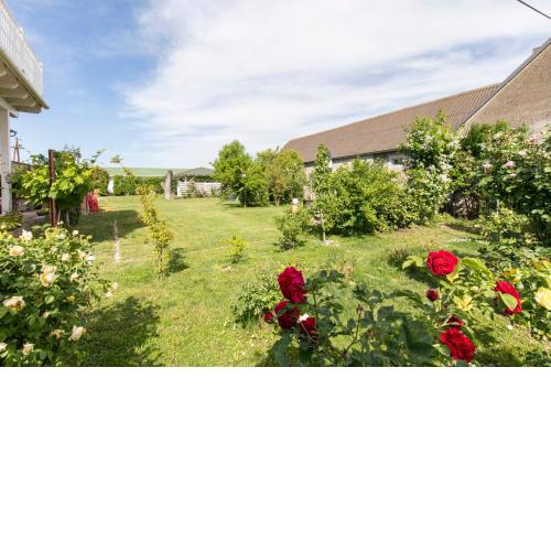 Pension Tadtendrang