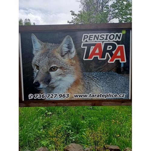 pension TARA
